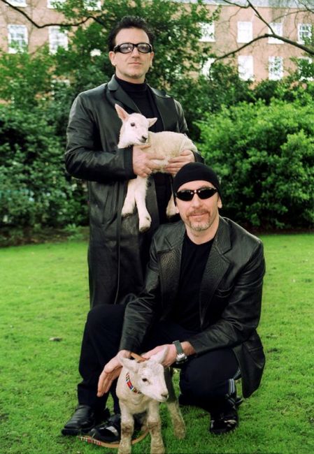 U2 in Dublin